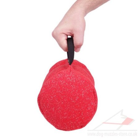 Large Cylinder Bite Pillow for Dog Training