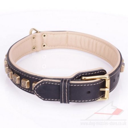 Extra Durable Black Leather Brass Dog Collars Studded With Cubes