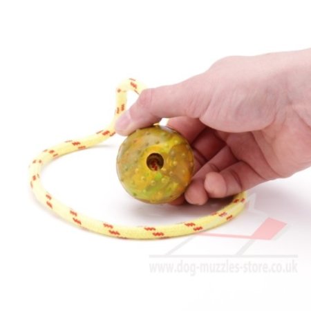 2 Inch Solid Rubber Ball for Dogs on Rope