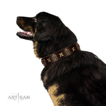 "Captain Hook" Chocolate Brown Leather Dog Collar FDT Artisan