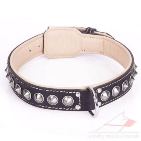 "Cone" Elegant Black Real Leather Dog Collar With Shiny Studs