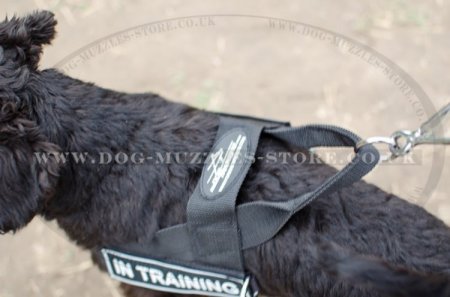 Giant/Miniature Schnauzer Dog Harness No Pull Front Clip