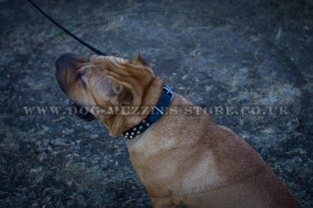 "Fancy Studs" Black Leather Dog Collar For Shar Pei