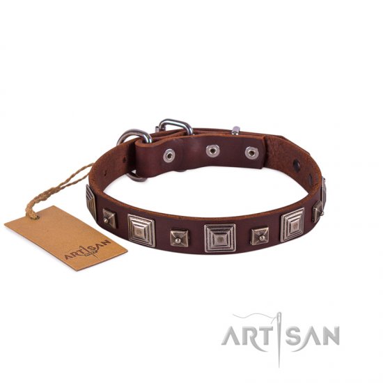 Elegant Brown Studded Dog Collar FDT Artisan 1" Width