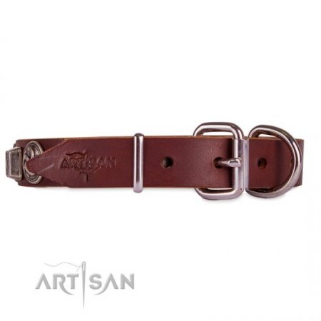 Luxury Brown Leather Dog Collar With Metal Buckle FDT Artisan