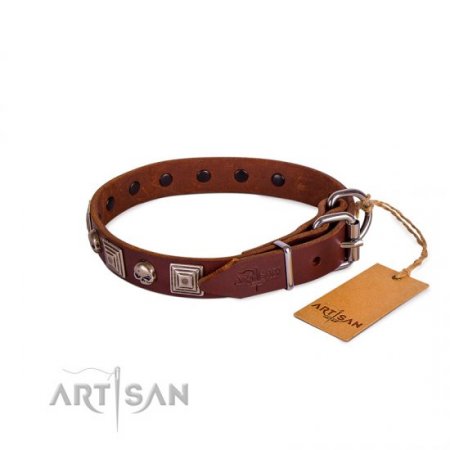 Extravagant Brown Leather Dog Collar With ID Plate FDT Artisan