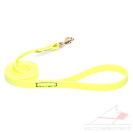 Neon Yellow Dog Leash with Handle & Brass Snap