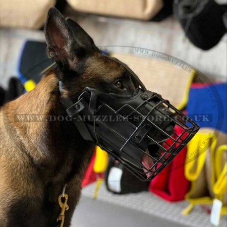 Belgian Malinois Dog Muzzle Basket Padded with Leather & Rubber