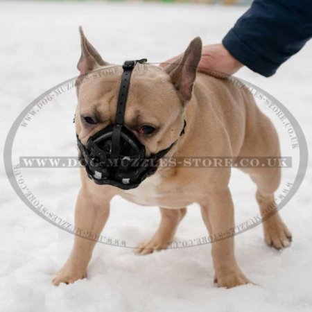 Short Snout Dog Muzzle for Flat Faced Dogs Pug French Bulldog et