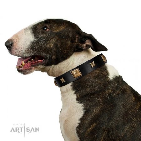 "Starry Harmony" Soft Black Leather Dog Collar FDT Artisan