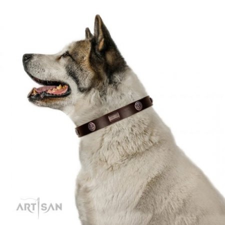 Functional Brown Studded Buckle Dog Collar FDT Artisan