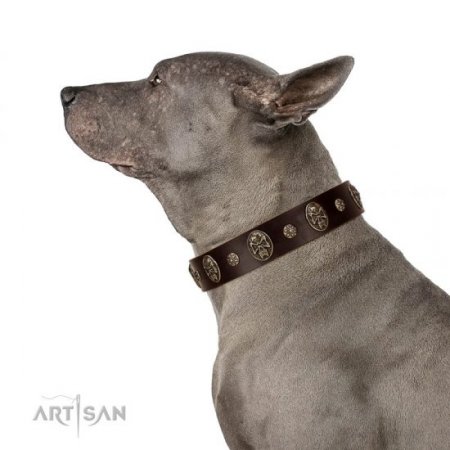 "Breaking the Horizon" Wide Brown Leather Dog Collar FDT Artisan