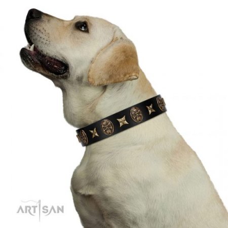 "Starry Saga" Black Leather Dog Collar With Studs FDT Artisan