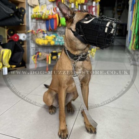 Belgian Malinois Dog Muzzle Basket Padded with Leather & Rubber