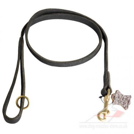 1/2 Inch Wide Leather Dog Leash with Brass Fittings