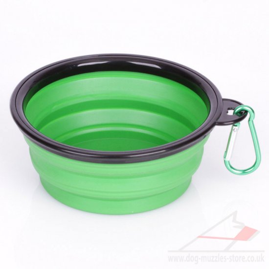 "Green Abyss" Foldable Travel Dog Food Drinking Bowl
