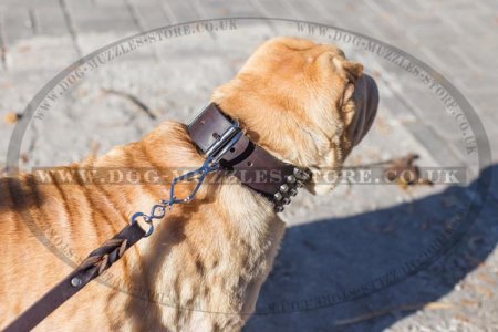 "Outright Gift" Tough Leather Shar Pei Dog Collar 3" Width