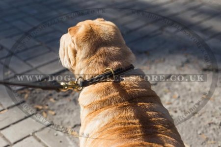 "Large Snake" Durable Leather Choke Dog Collar For Shar Pei