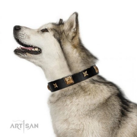 "Starry Harmony" Soft Black Leather Dog Collar FDT Artisan