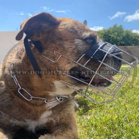 Dog Muzzles UK Bestsellers for Dogs Like Rhodesian Ridgeback