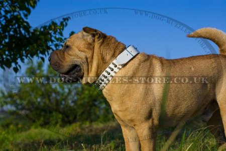 "Perfect Look" Ultramodern Brown Leather Dog Collar For Shar Pei