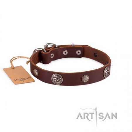 Fashionable Dark Brown Leather Dog Collar For Daily Walking