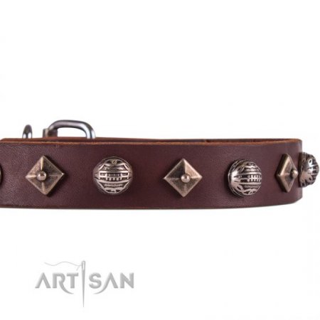 Exclusive Brown Leather Dog Collar With Nameplate UK