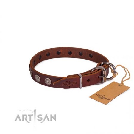 Handcrafted Brown Studded Buckle Dog Collar FDT Artisan