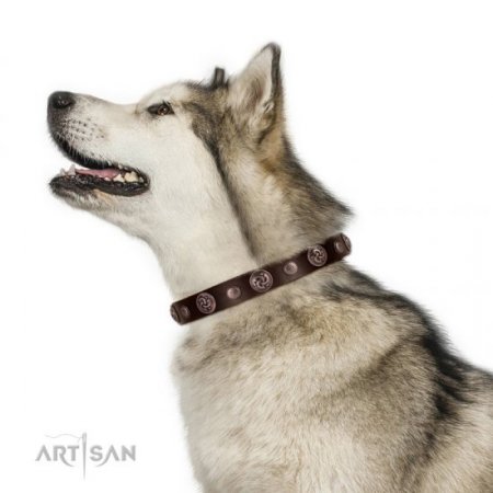 Designer Studded Dog Collar With Round Ornaments FDT Artisan