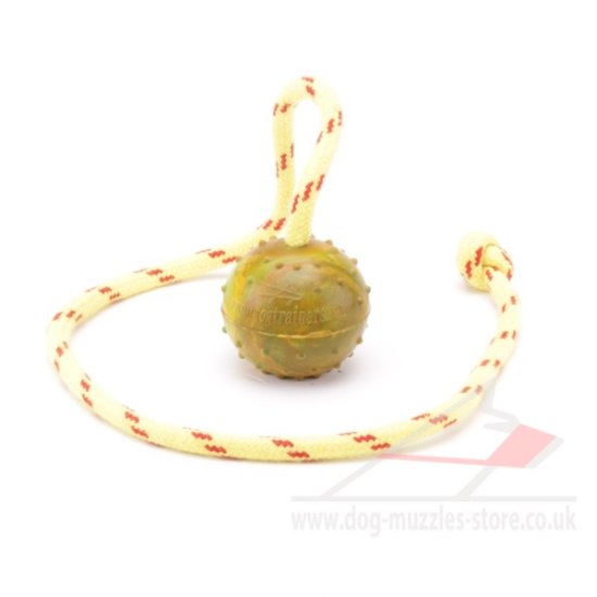 2 Inch Solid Rubber Ball for Dogs on Rope