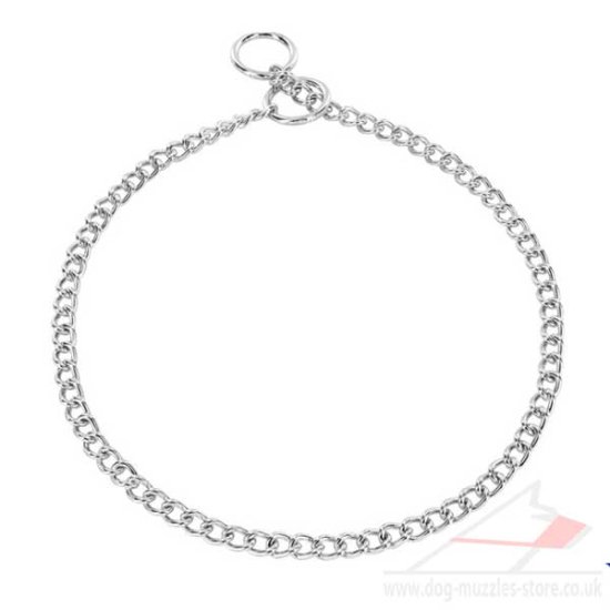 Short Link 2mm Chain Dog Collar for Medium Dogs by Herm Sprenger