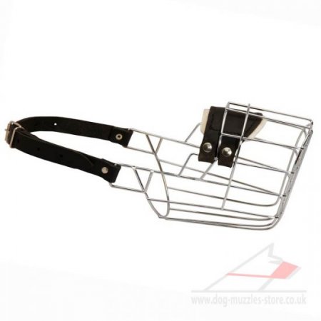 Bestseller Basket Dog Muzzle for Dalmatian that Allows Drinking