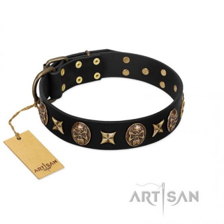 "Starry Saga" Black Leather Dog Collar With Studs FDT Artisan