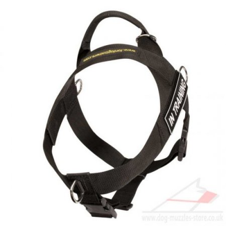 Japanese Akita Dog Harness No Pull Front Clip Best Seller