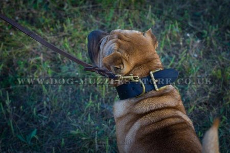 "King Style" Tough Leather Dog Collar For Shar Pei 3" Width