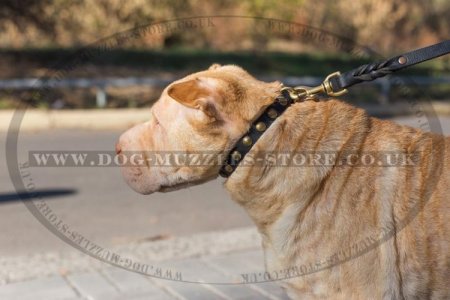 Durable Studded Shar Pei Dog Collar With Studs 1" Width