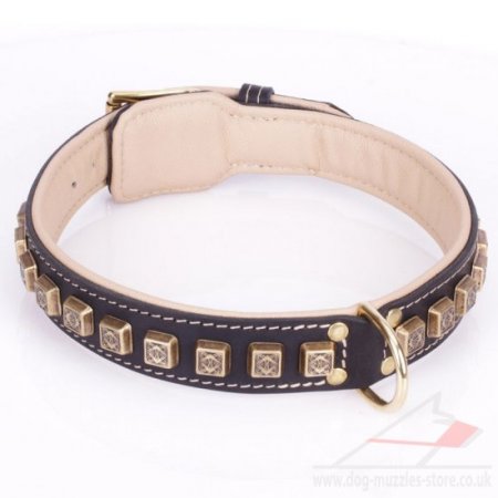 Extra Durable Black Leather Brass Dog Collars Studded With Cubes