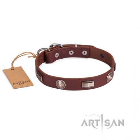 Premium Quality Dark Brown Studded Dog Collar FDT Artisan