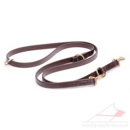 Brown Biothane Dog Lead with 2 Clips for Multifunctional Use