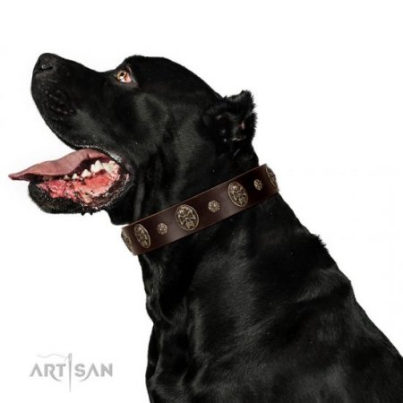 "Breaking the Horizon" Wide Brown Leather Dog Collar FDT Artisan