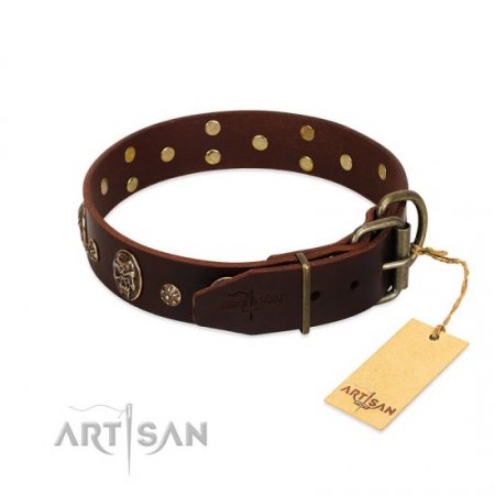 "Breaking the Horizon" Wide Brown Leather Dog Collar FDT Artisan