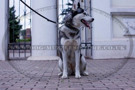 Attractive Leather Spiked Studded Dog Collar For Husky