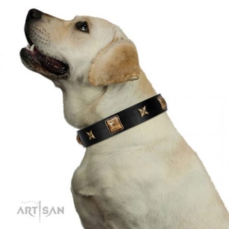 "Starry Harmony" Soft Black Leather Dog Collar FDT Artisan