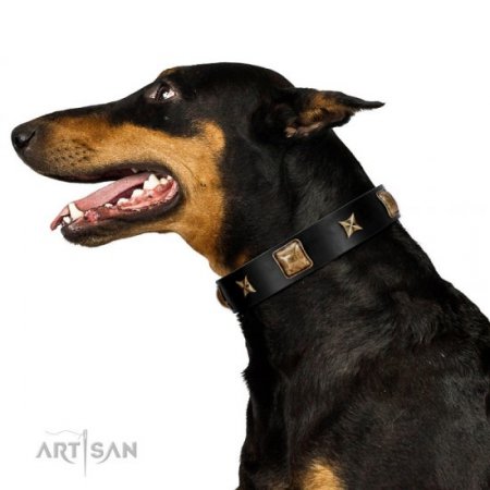 "Starry Harmony" Soft Black Leather Dog Collar FDT Artisan