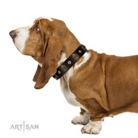 A Fancy Dark Brown Leather Dog Collar "Snazzy Paws" FDT Artisan