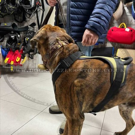 Khaki Dog Harness for Walking Small Medium Extra Large Szs