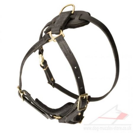 Spaniel Dog Harness with Padded Triangle Chest Plate