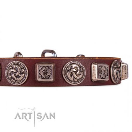 Luxury Brown Leather Dog Collar With Metal Buckle FDT Artisan