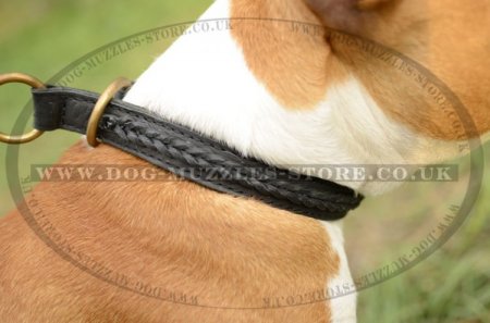 "Rattlesnake" Braided Leather Choker Dog Collar For Staffy
