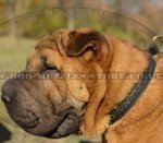 Braided Leather Dog Collar Choker for Chinese Shar Pei